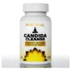 candida-cleanse CANDIDA CLEANSE