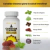 candida-cleanse2 CANDIDA CLEANSE